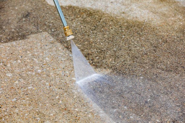 Animal Enclosure Cleaning in Taylor Mill, KY